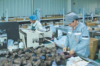 岷縣電商訂單生產忙，互聯網銷售開辟致富新路